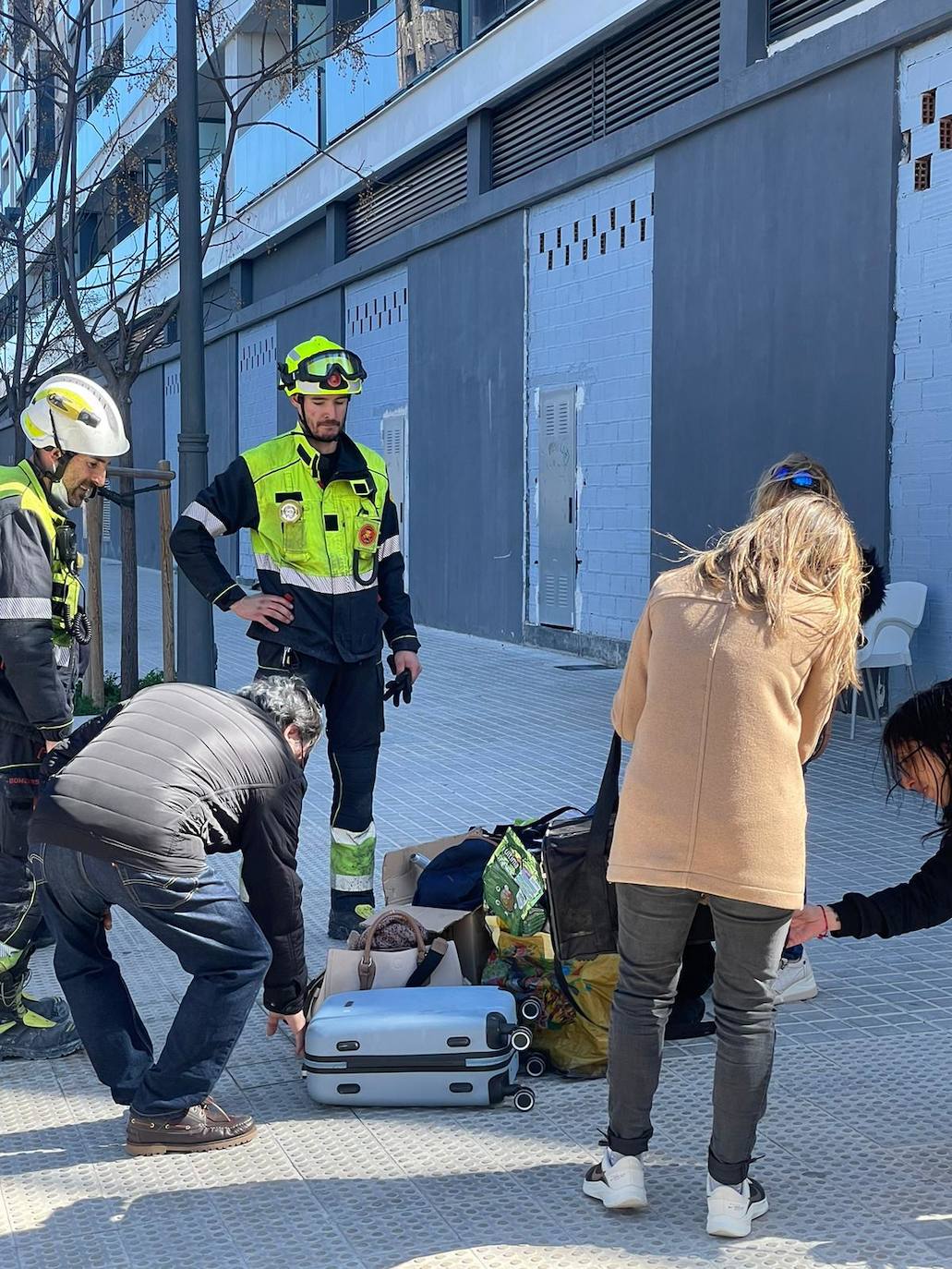 El gato &#039;Coco&#039;, con vida tras el incendio de Campanar