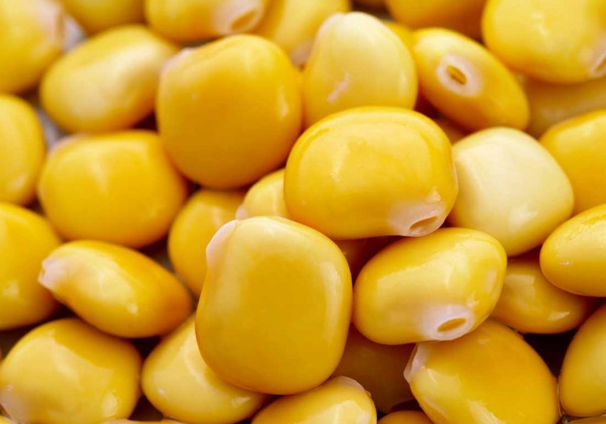 Tramussos, el superalimento de la terreta