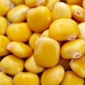 Tramussos, el superalimento de la terreta