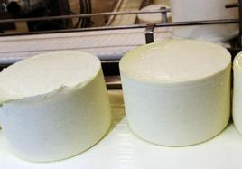 Un queso de fabricación nacional.