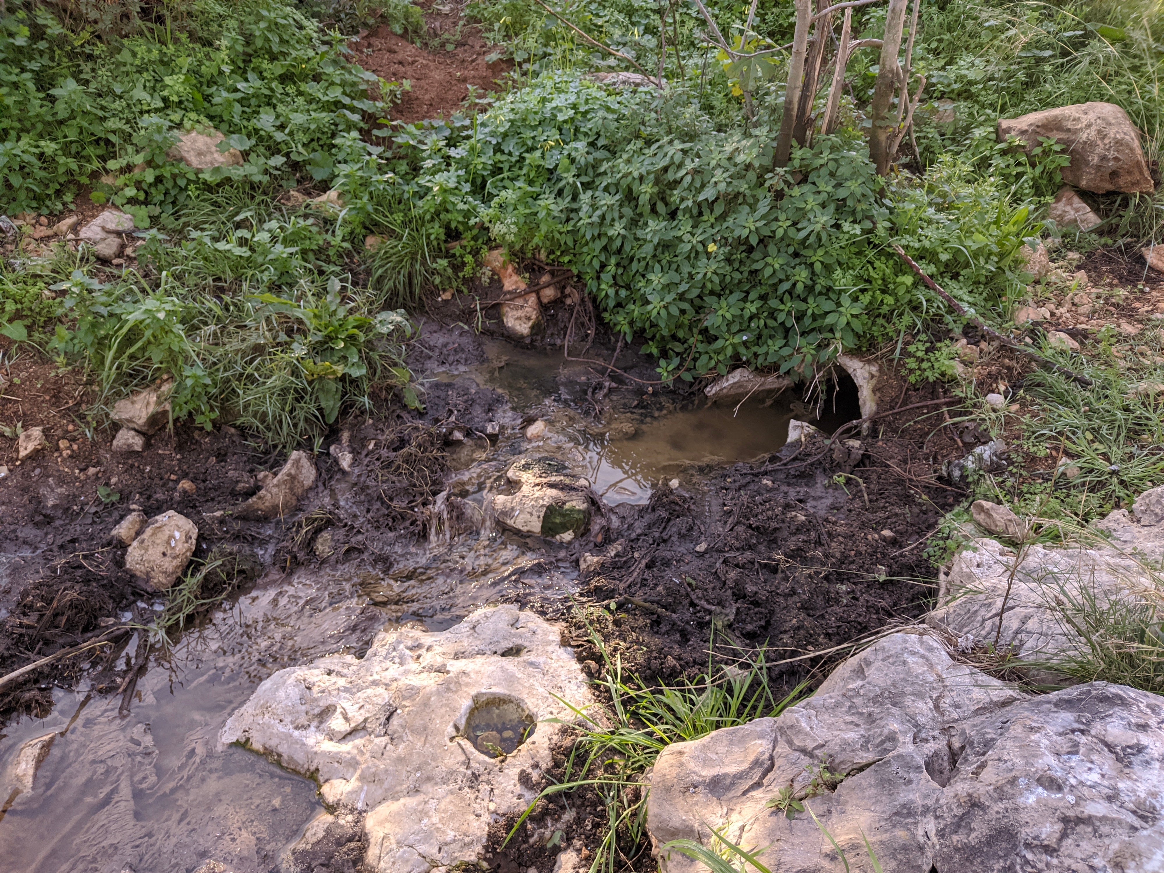 Vertidos en Los Lagos por la falta de alcantarillado.