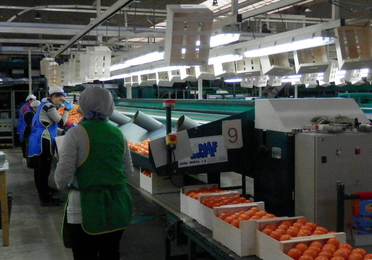 Mujeres en un almacén de fruta.