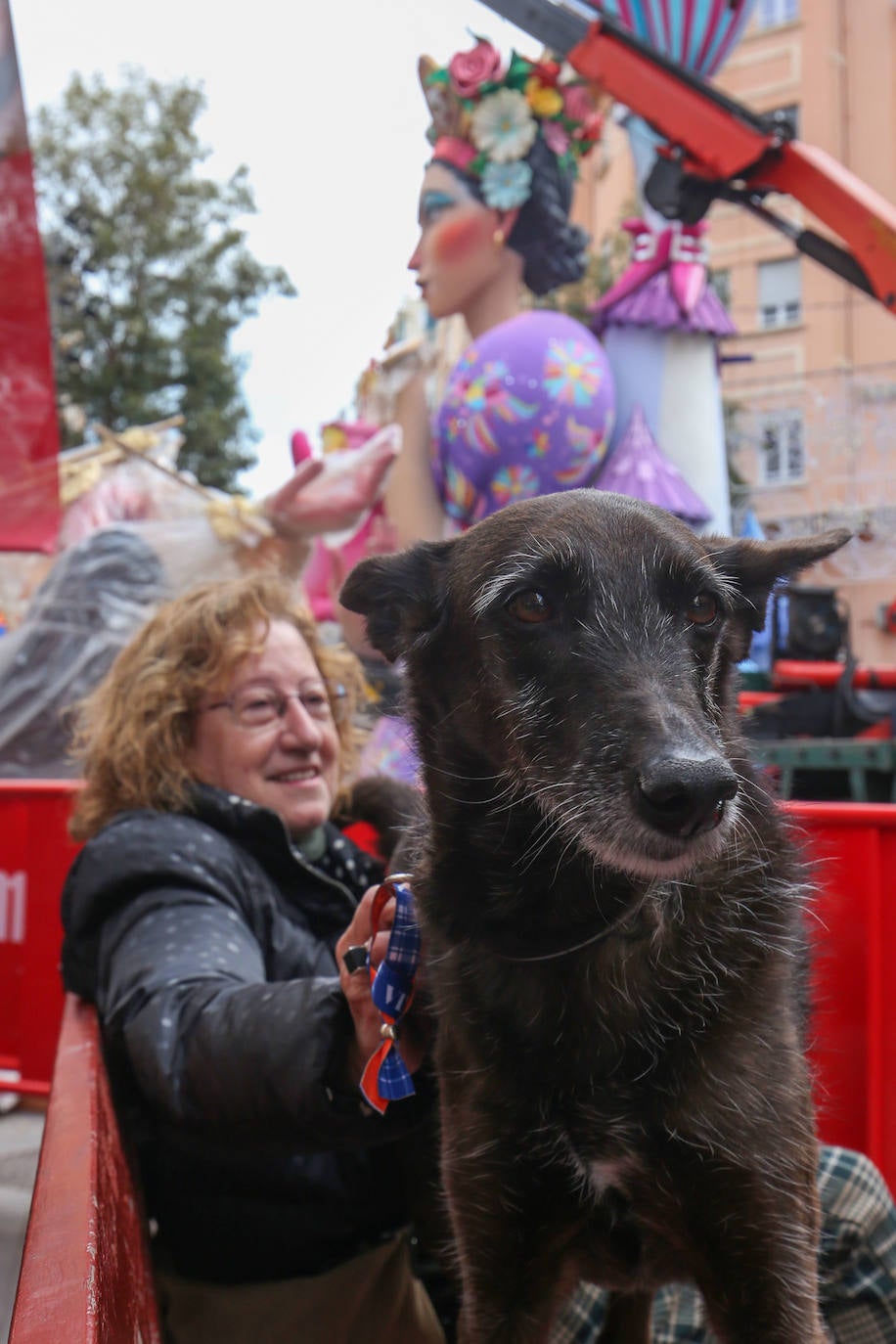 Comienza la plantà de las Fallas 2024