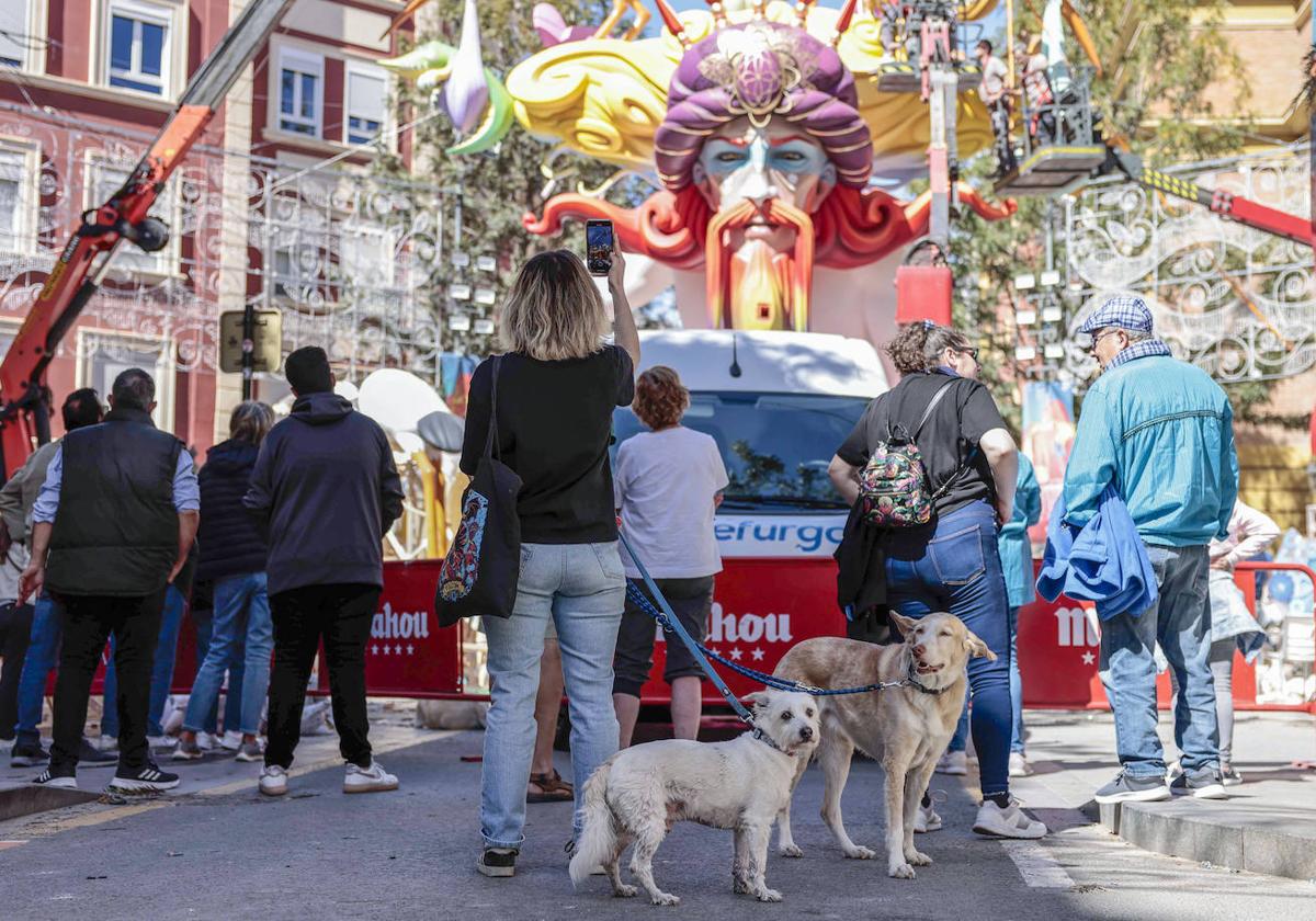 Los animales sufren con los fuertes ruidos de los petardos.