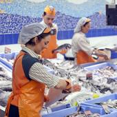 Cuánto cobran los trabajadores de Mercadona en 2024: estos son sus salarios