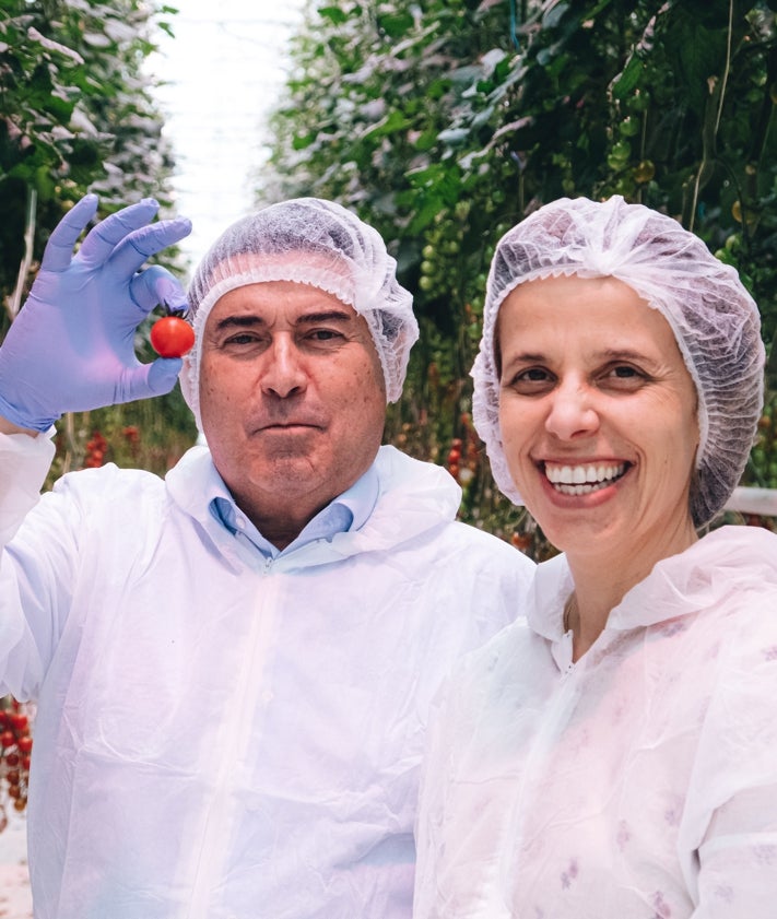 Imagen secundaria 2 - Sobre estas líneas, Rafael y Elena Lis, con uno de sus tomates; arriba, dos imágenes de su planta de Alicante.