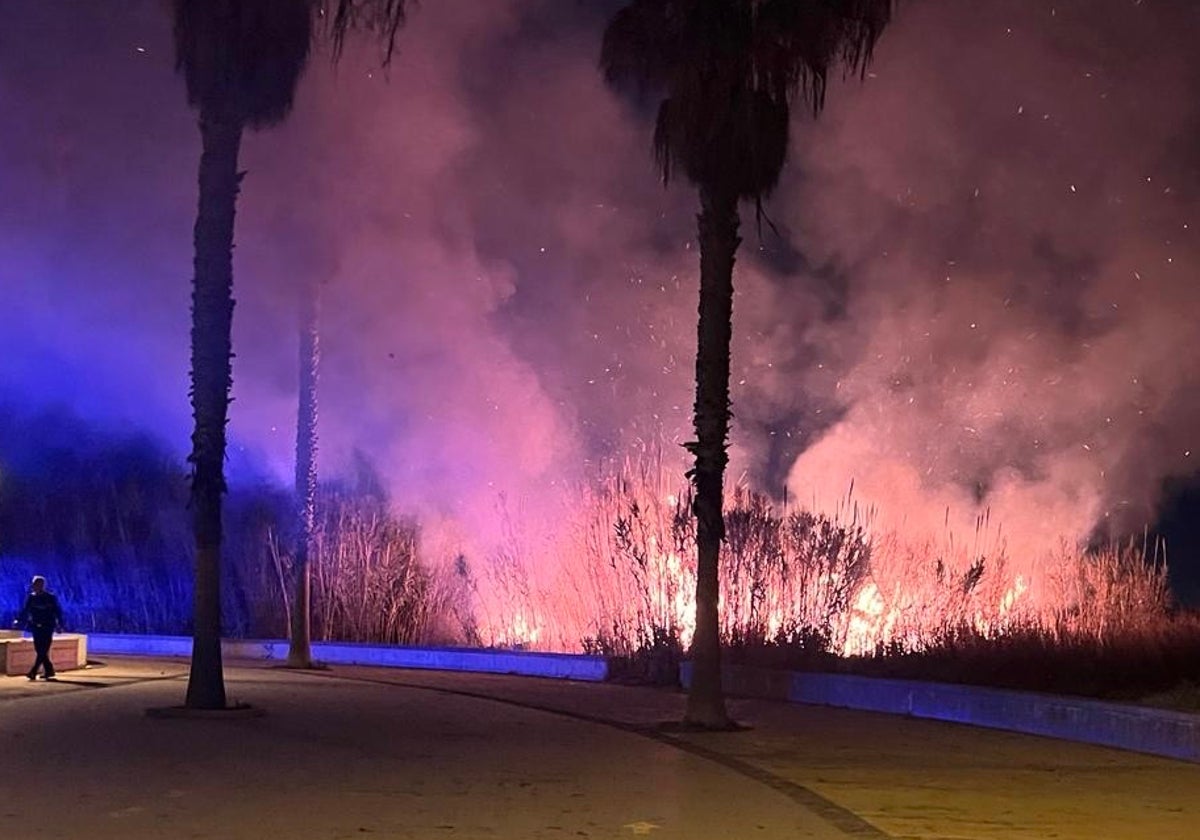 Incendio de un cañar.