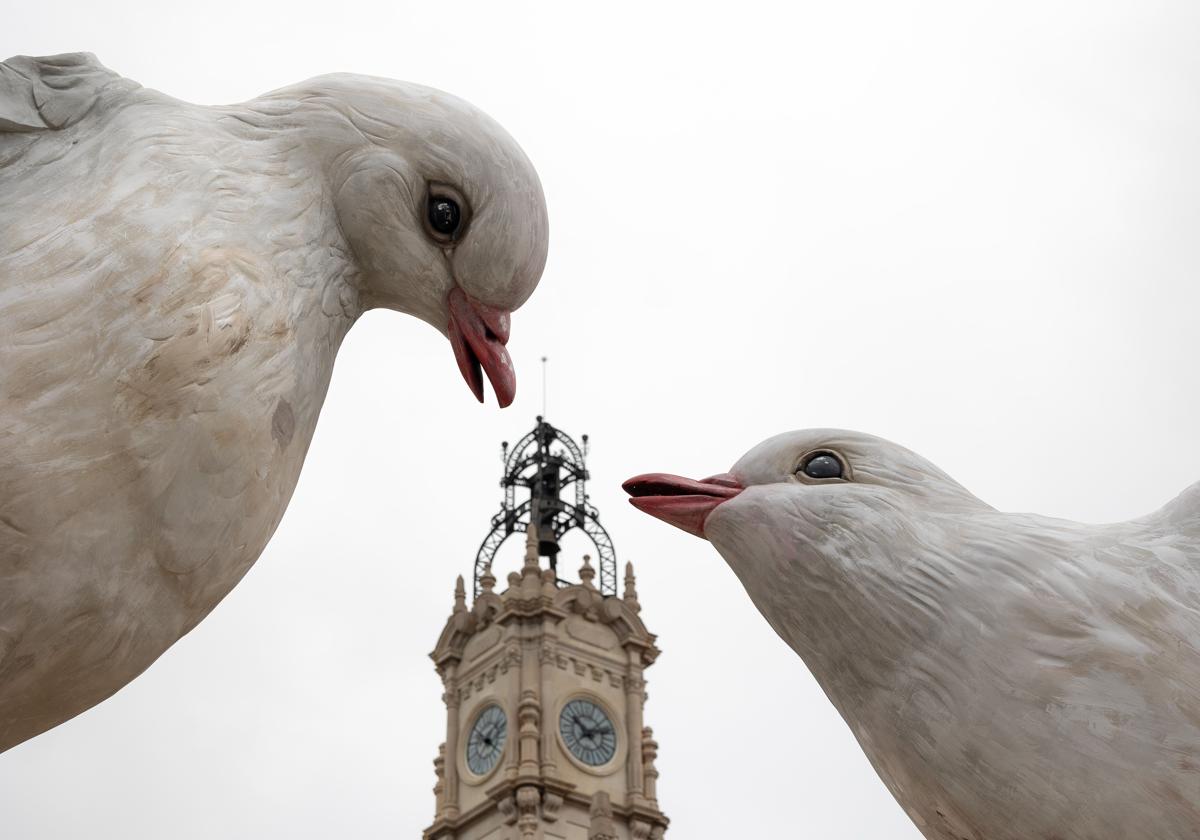 Las palomas la lían