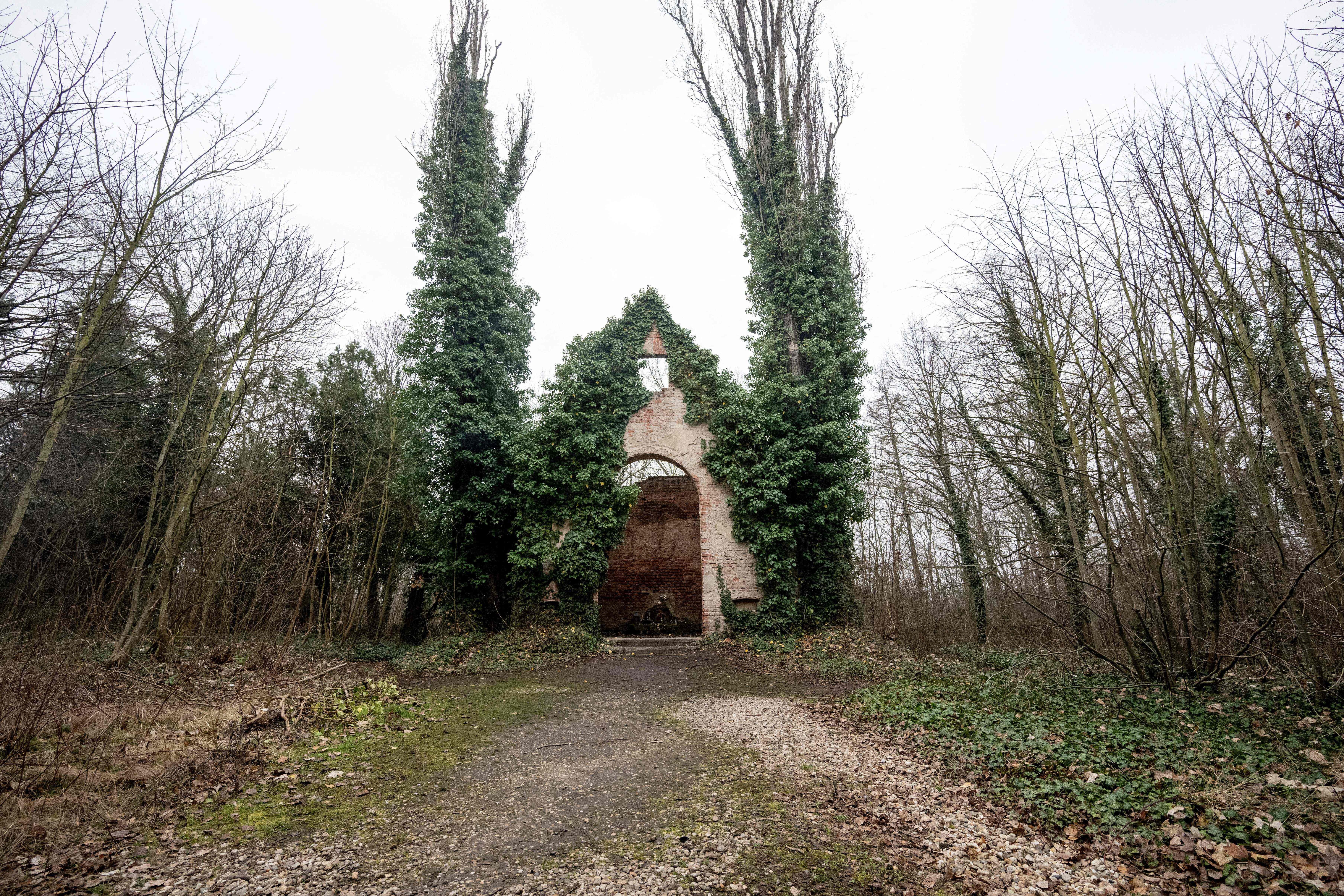 El &#039;cementerio de los locos&#039; de Praga: un camposanto abandonado y maldito