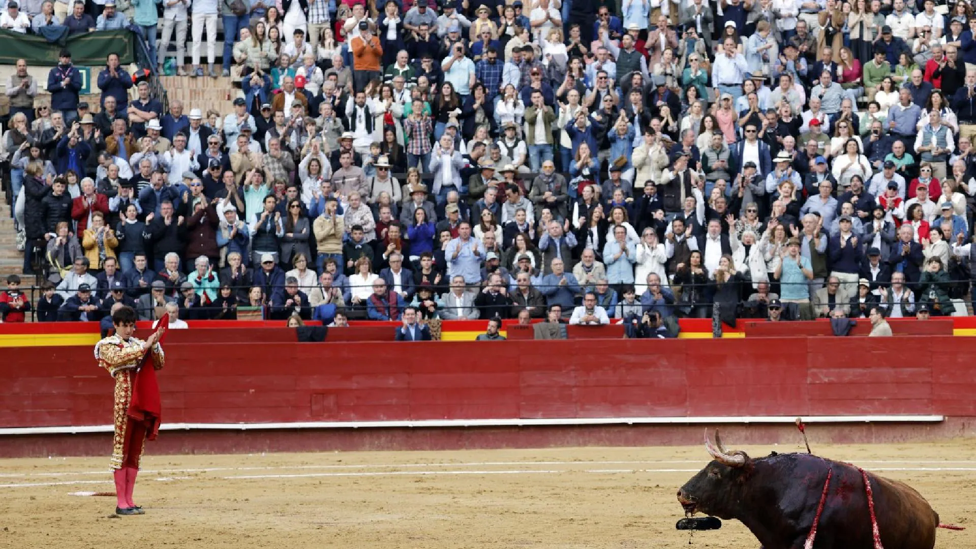 Feria Toros en las Fallas de Valencia: Roca Rey | Brutal Roca Rey, brutal  el toro, brutal el público | Las Provincias