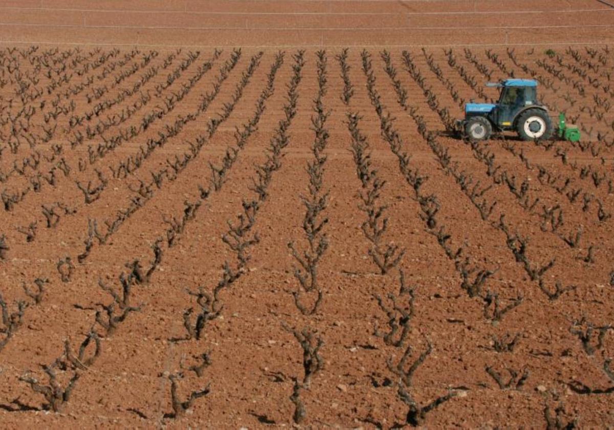 La UE da permiso para que se puedan labrar los campos