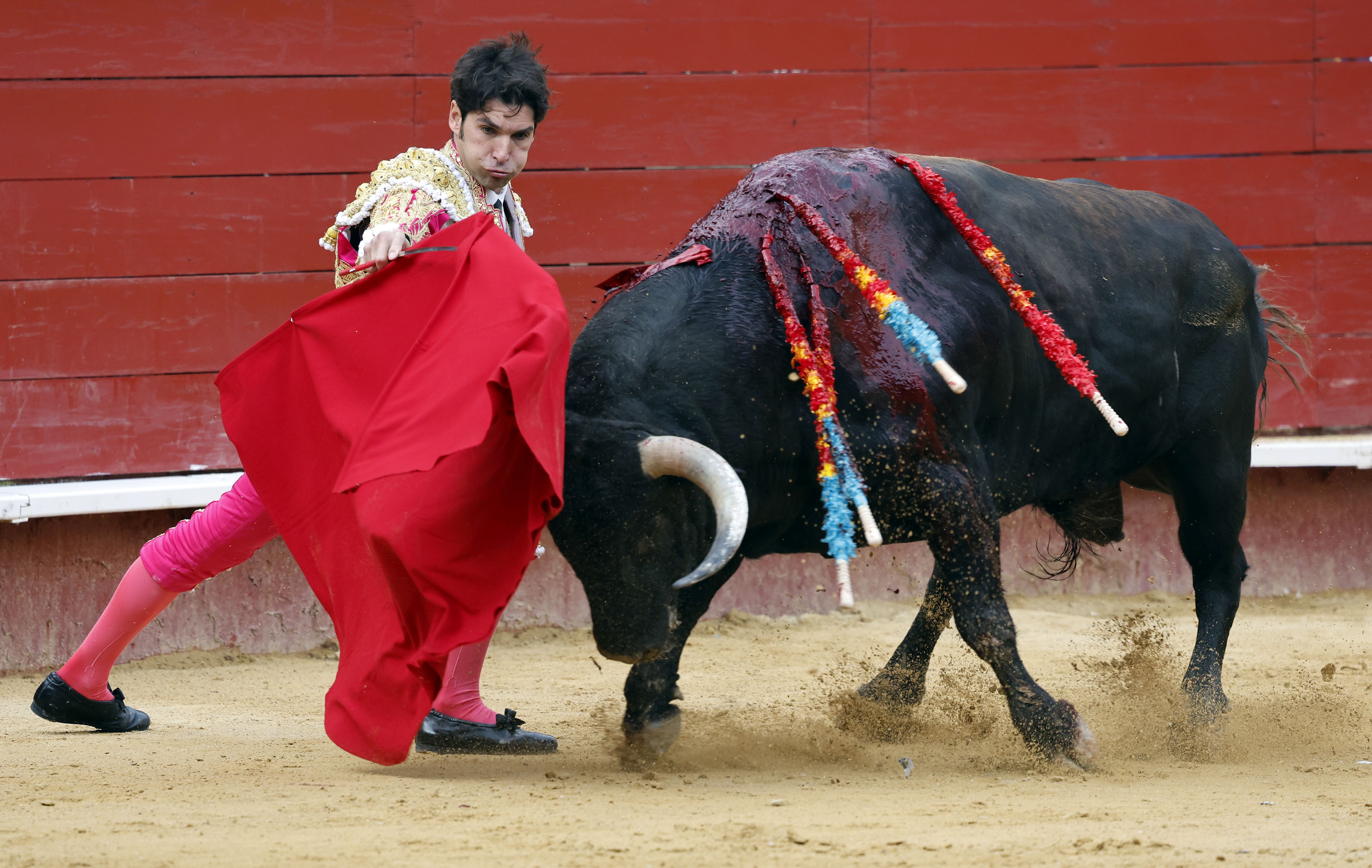 Fotos de la corrida de toros de la Feria de Fallas del 19 de marzo