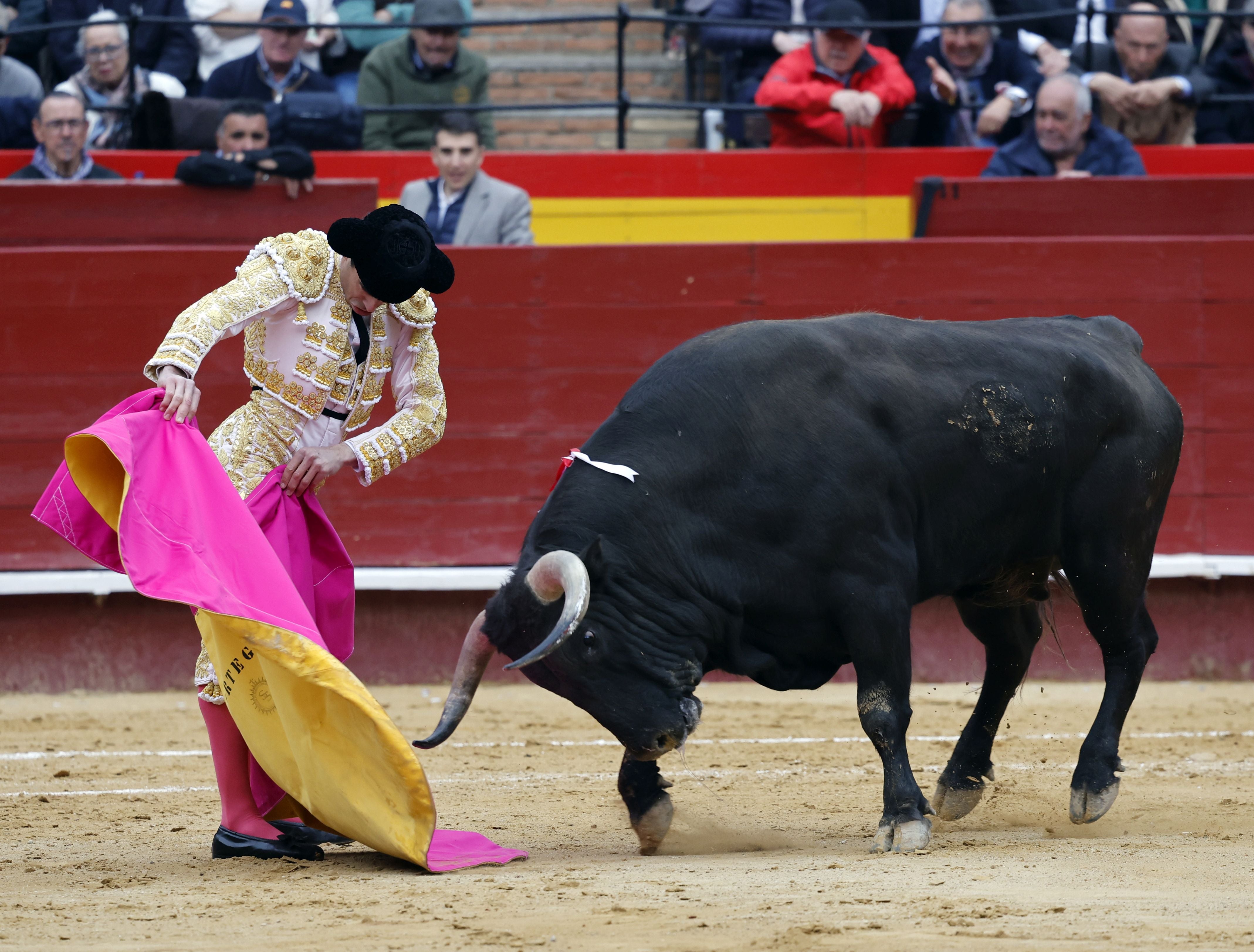 Fotos de la corrida de toros de la Feria de Fallas del 19 de marzo