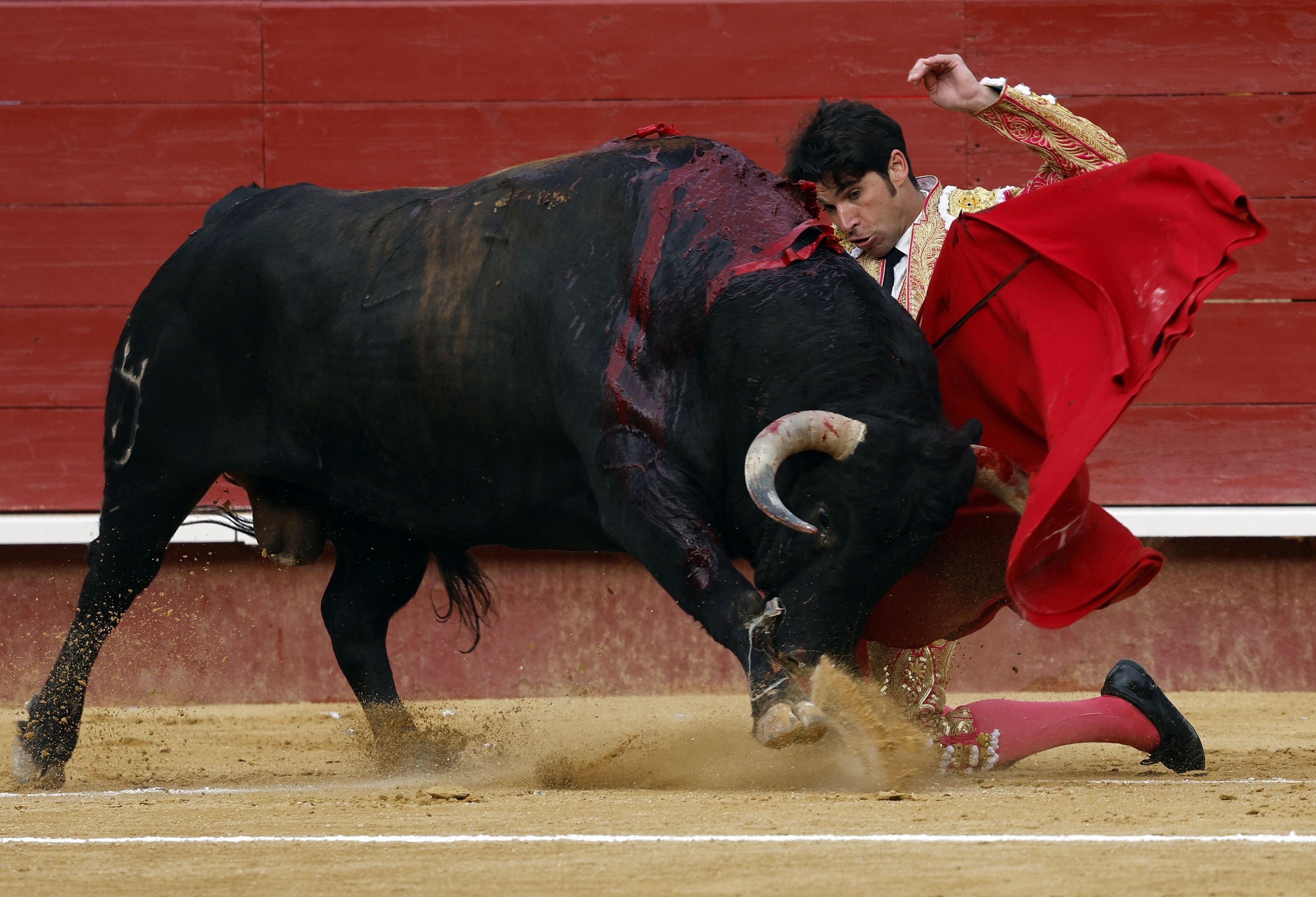 Fotos de la corrida de toros de la Feria de Fallas del 19 de marzo