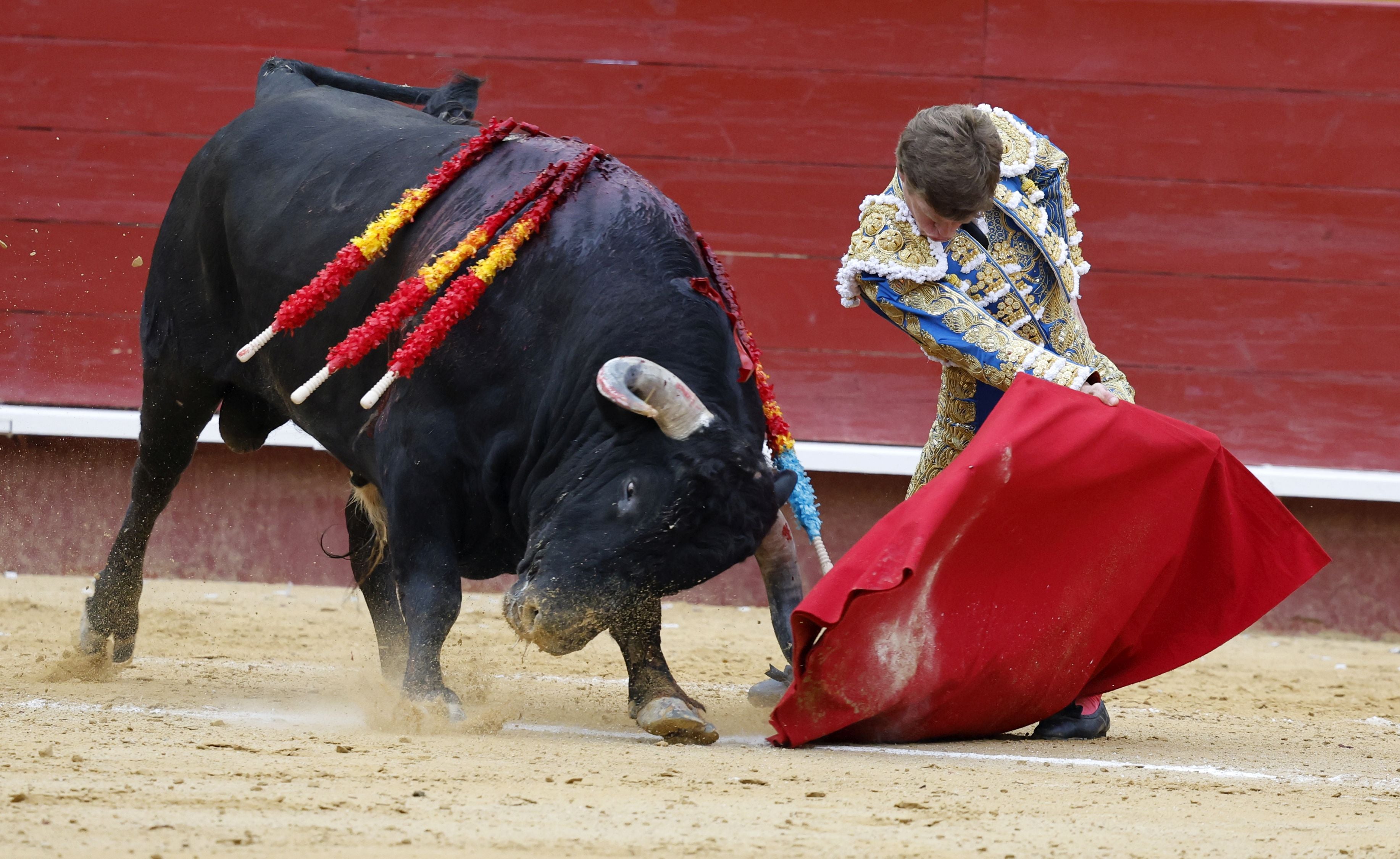 Fotos de la corrida de toros de la Feria de Fallas del 19 de marzo