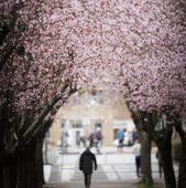 ¿Cuándo empieza la primavera?