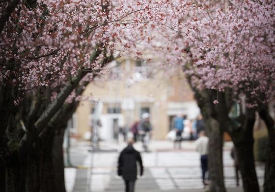 ¿Cuándo empieza la primavera 2024?