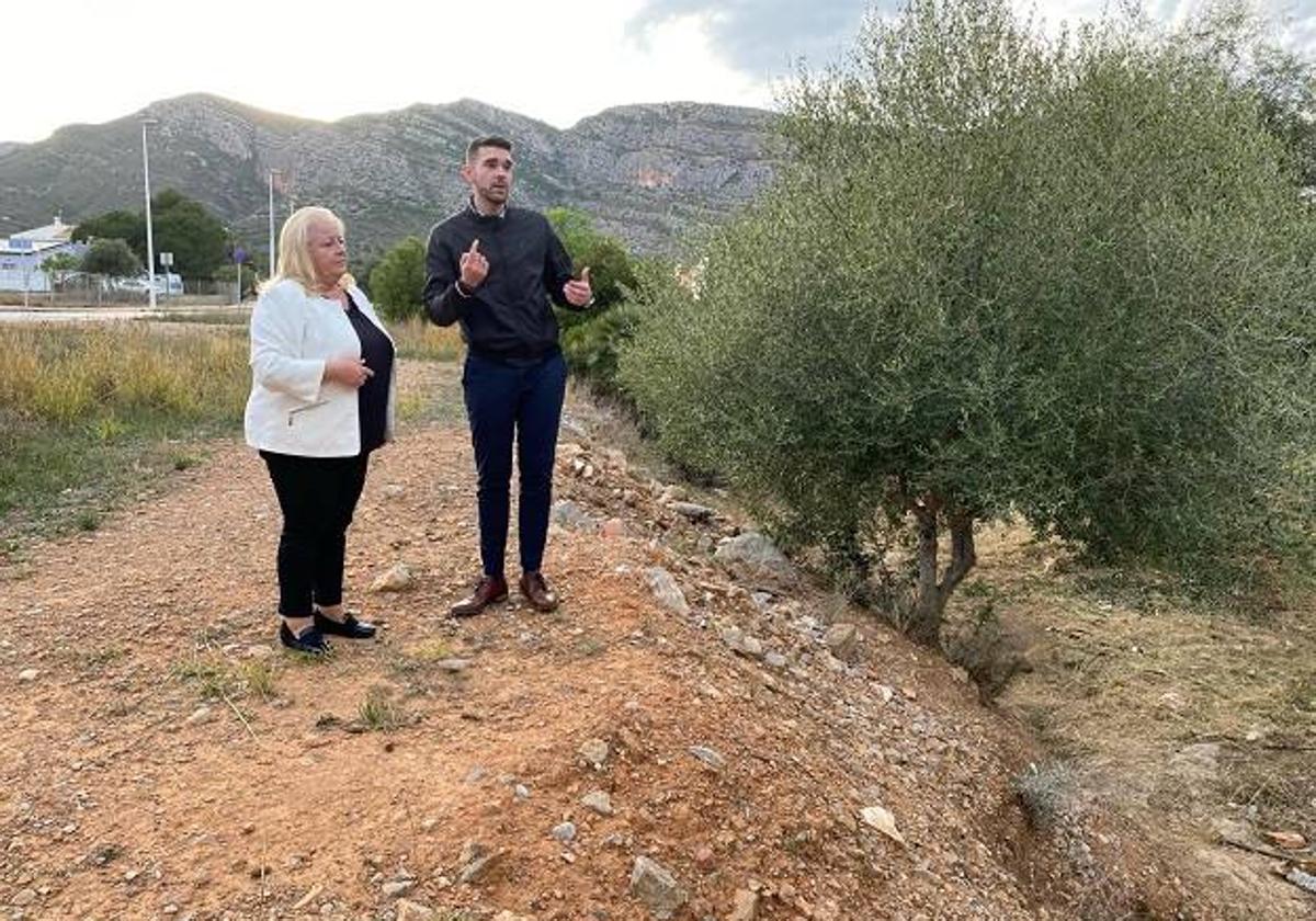 El Ayuntamiento de Oropesa del Mar realiza tareas de desbroce y limpieza en el Barranquet