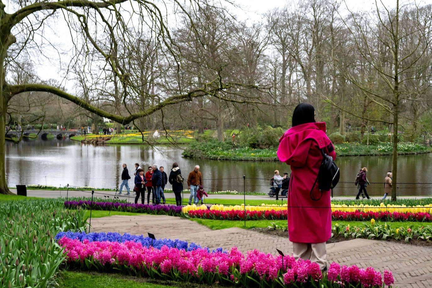 El mayor jardín de tulipanes del mundo abre sus puertas en primavera