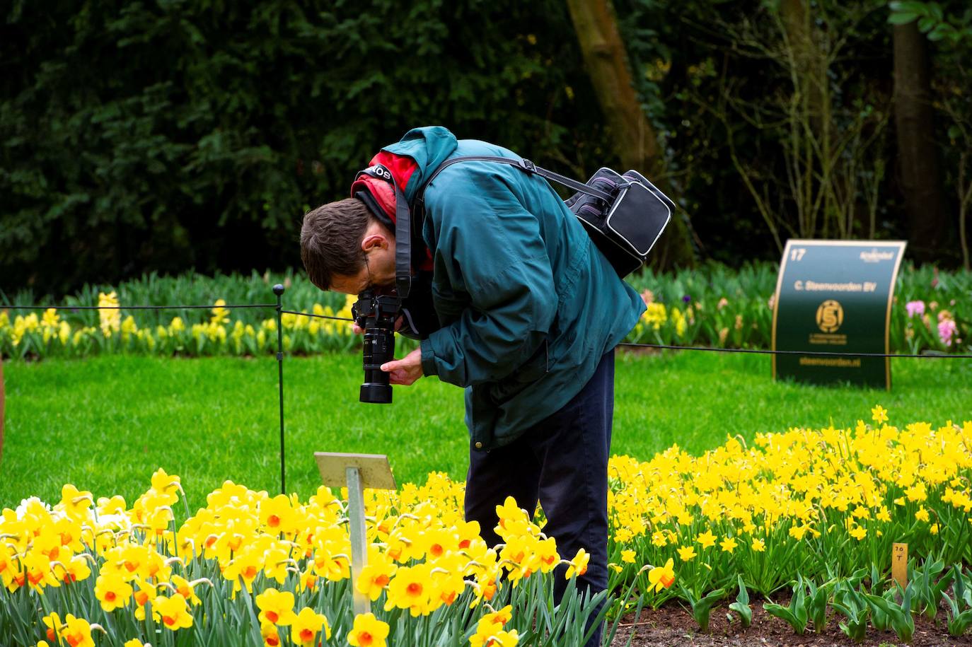 El mayor jardín de tulipanes del mundo abre sus puertas en primavera