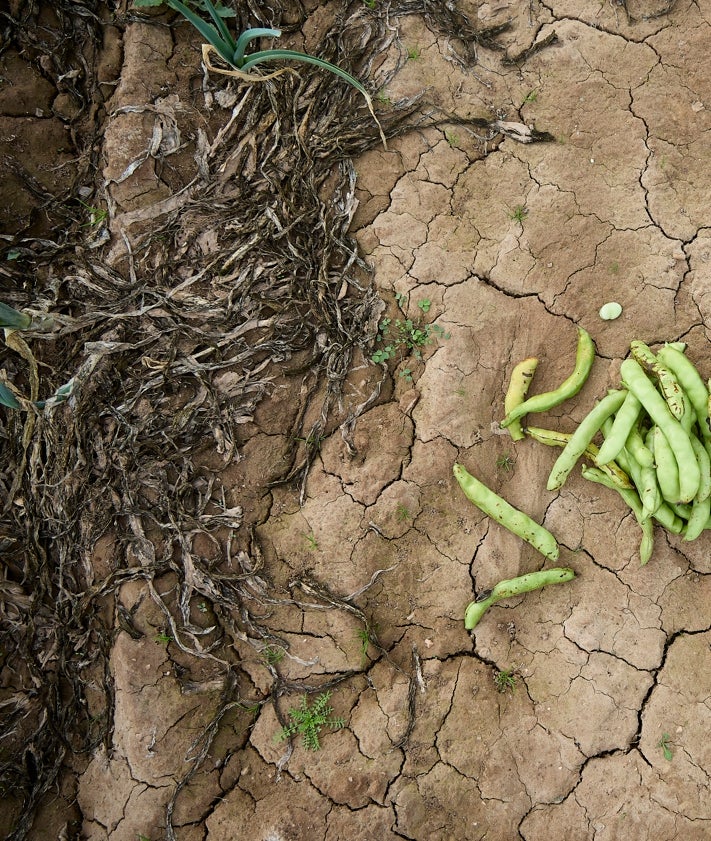 Imagen secundaria 2 - El cocinero más verde y el agricultor con dos estrellas Michelin