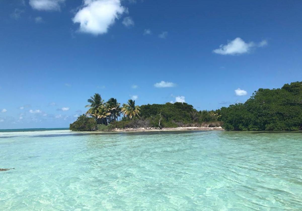 La isla del caribe de 63 millones de euros que puede vender un agente inmobiliario español