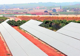 Imagen de archivo de una planta fotovoltaica entre viñedos ubicados en Requena.