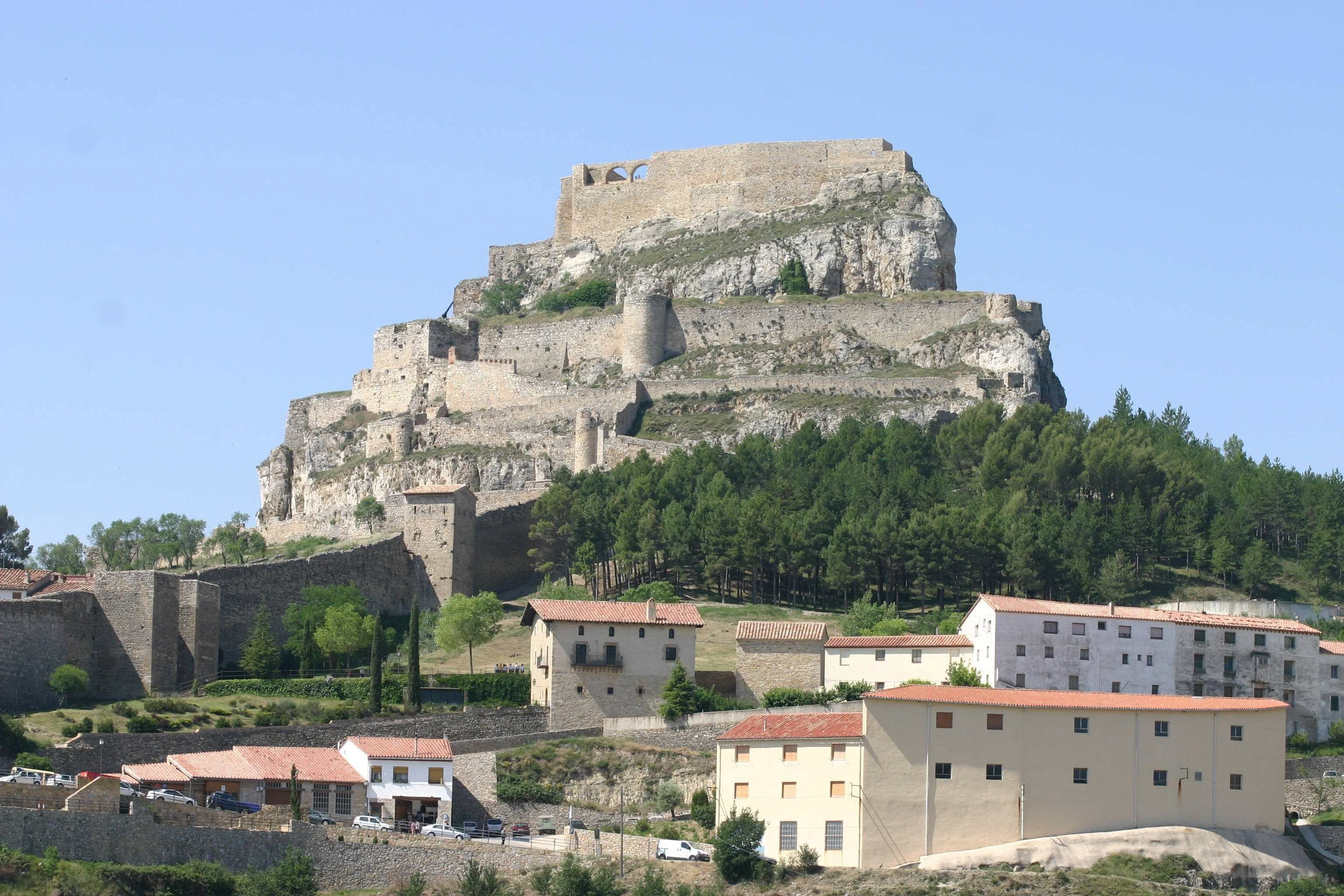 Morella