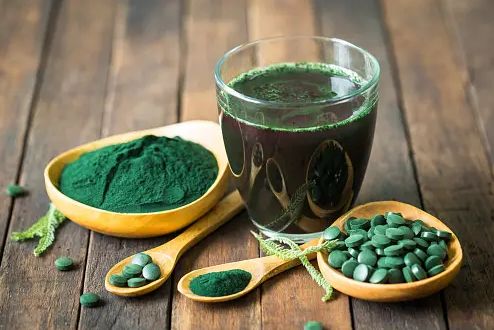 Chlorella en una imagen de archivo.