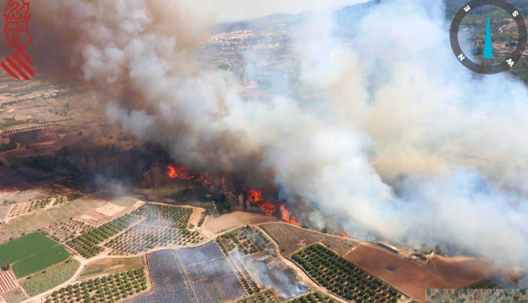 Declarado un incendio forestal en el Parque Natural del Túria