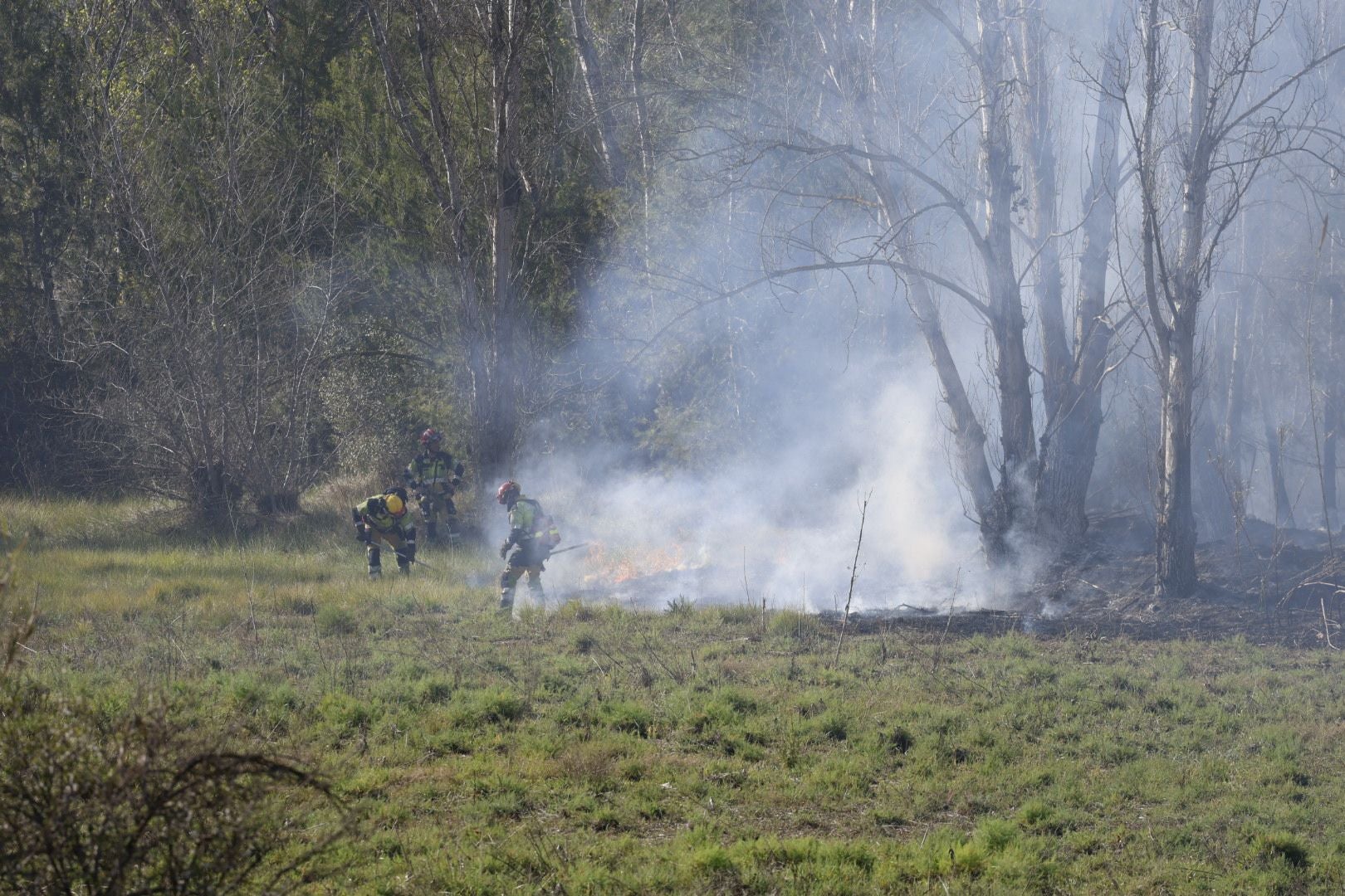 Declarado un incendio forestal en el Parque Natural del Túria