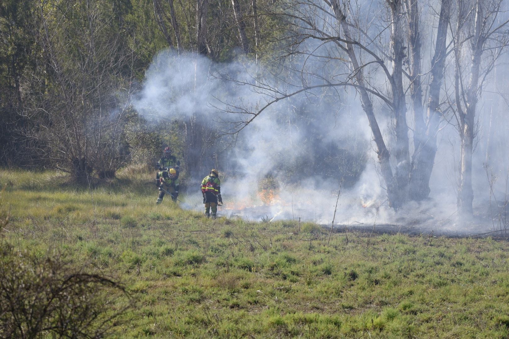 Declarado un incendio forestal en el Parque Natural del Túria