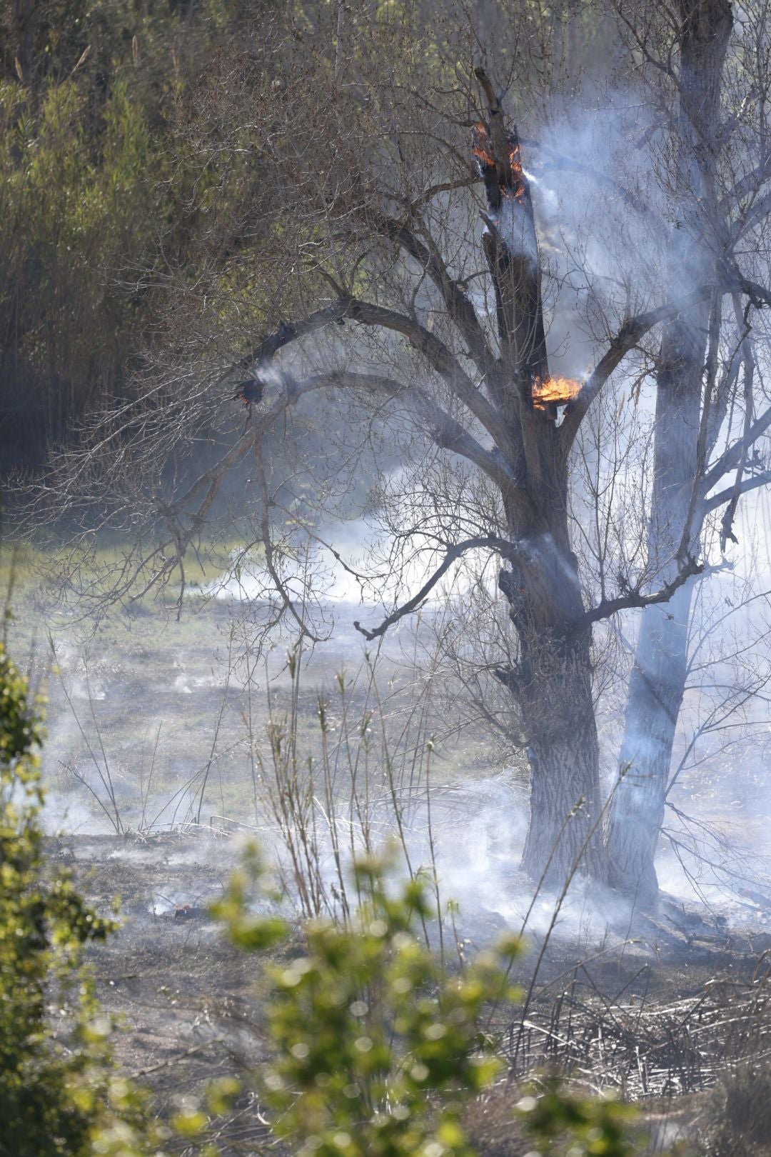 Declarado un incendio forestal en el Parque Natural del Túria