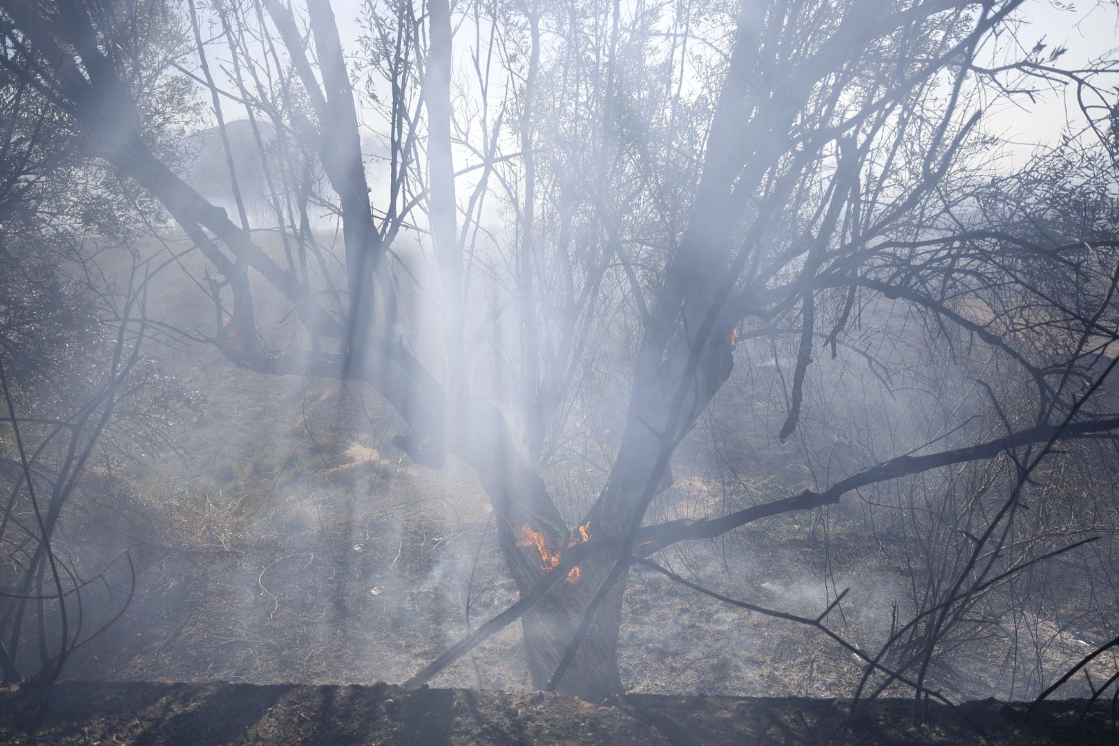 Declarado un incendio forestal en el Parque Natural del Túria