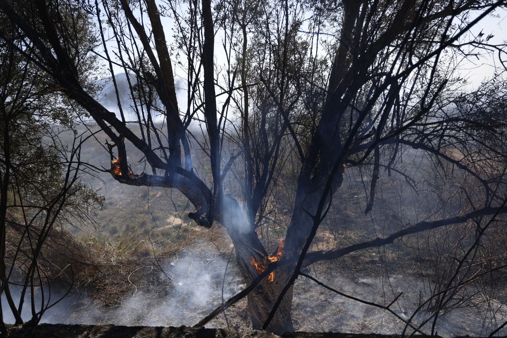 Declarado un incendio forestal en el Parque Natural del Túria