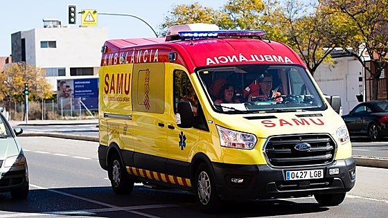 Un hombre de 80 años fallece tras ser atropellado en Rafal
