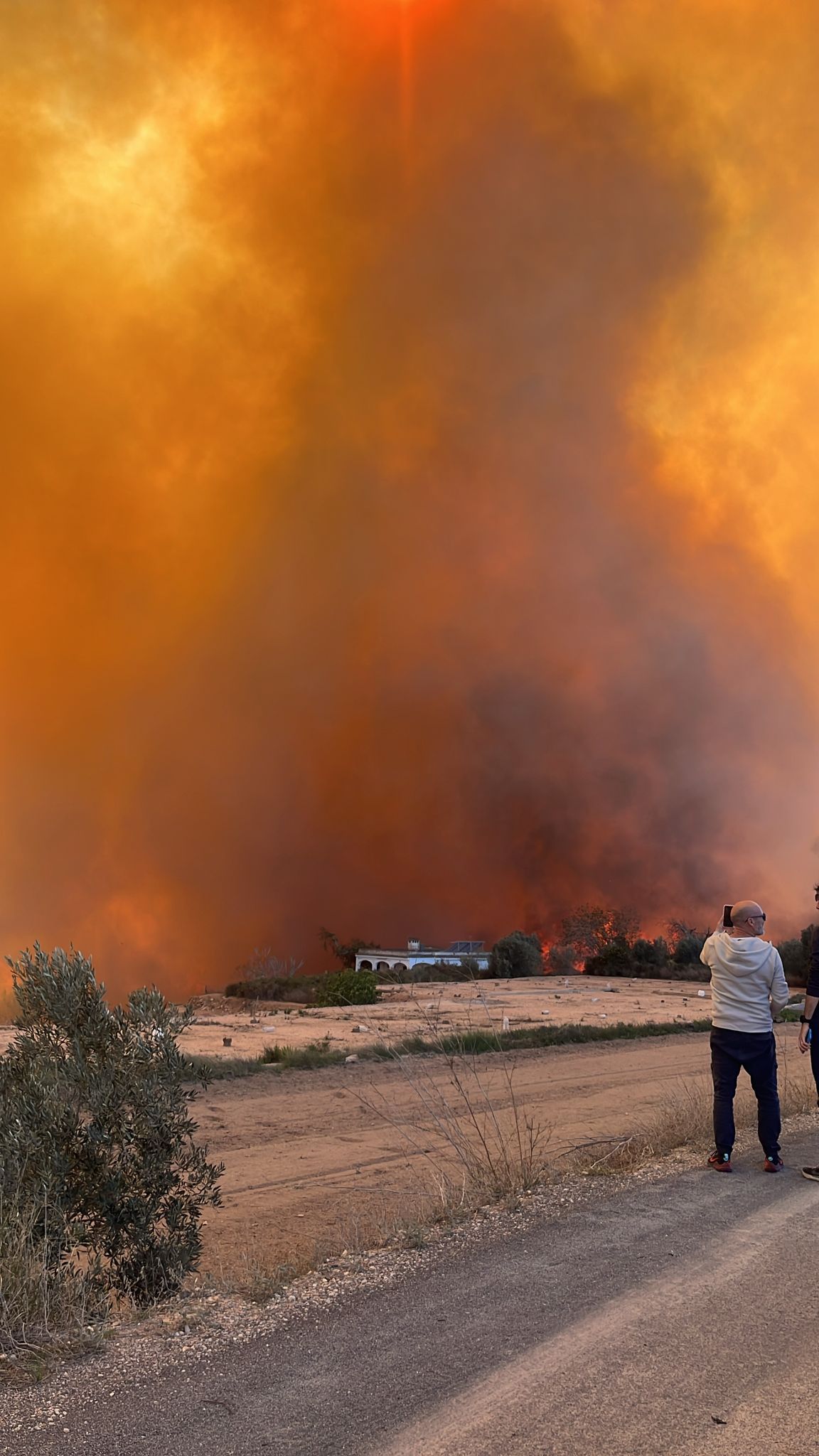 Declarado un incendio forestal en el Parque Natural del Túria