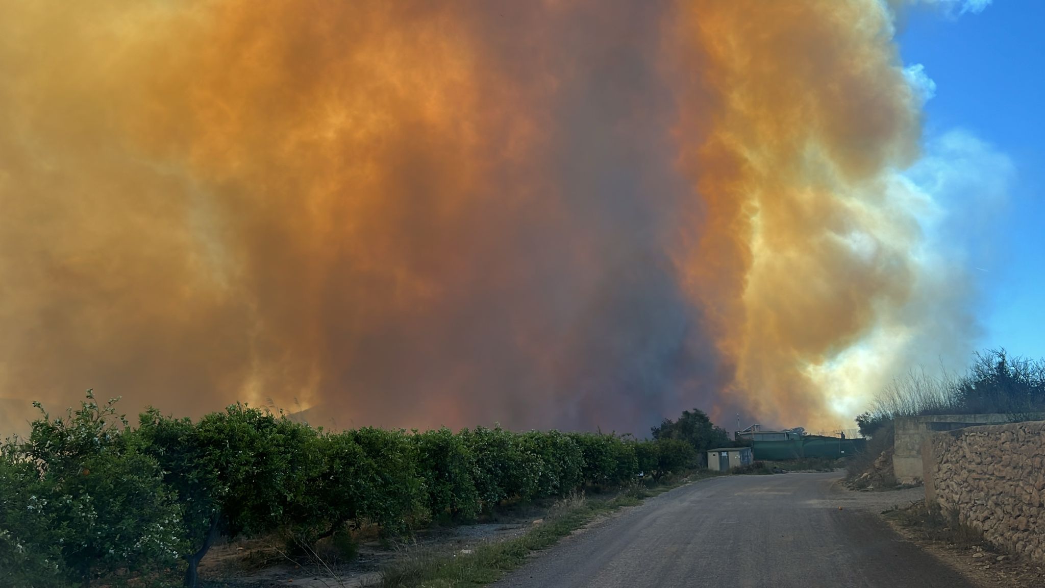 Declarado un incendio forestal en el Parque Natural del Túria