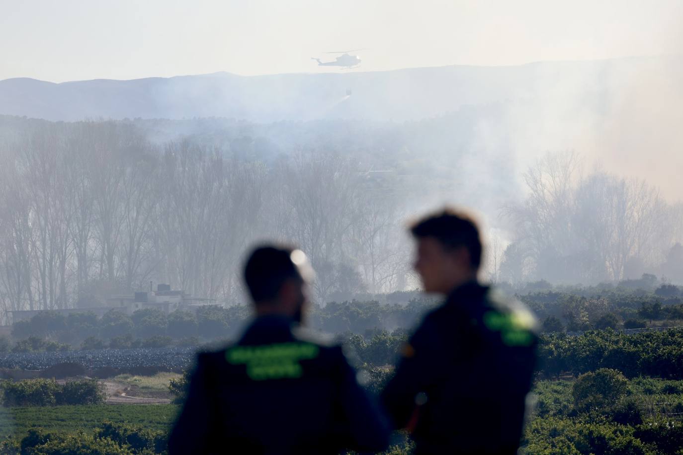 Declarado un incendio forestal en el Parque Natural del Túria