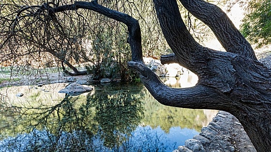 Por la Font d'Algar hasta la del Fort con fascinantes vistas