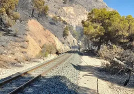 Tramo ferroviario de la zona del Mascarat afectado por las obras.