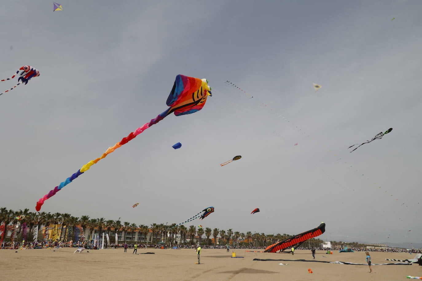 Fotos del festival de cometas en Valencia 2024