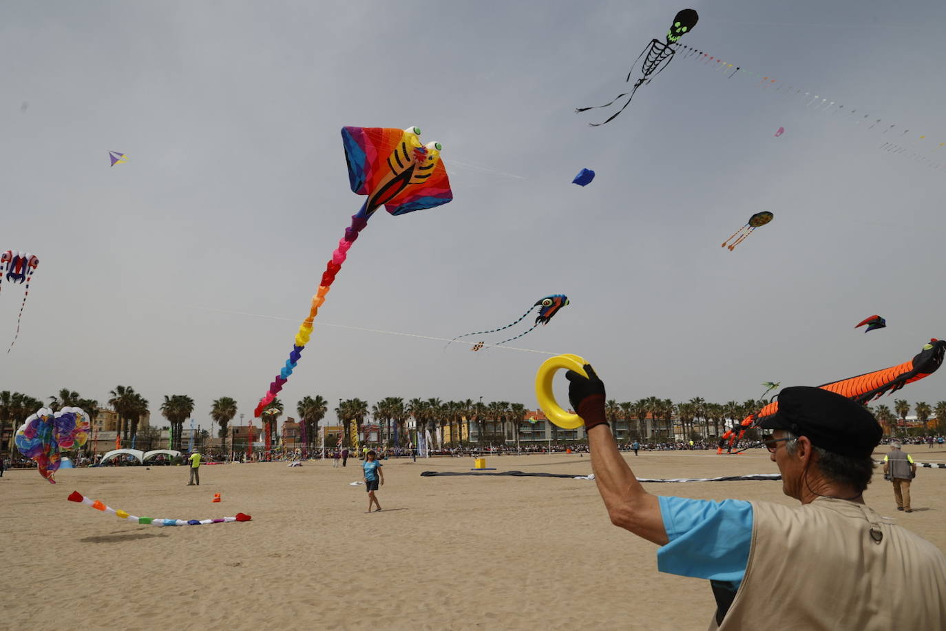 Fotos del festival de cometas en Valencia 2024