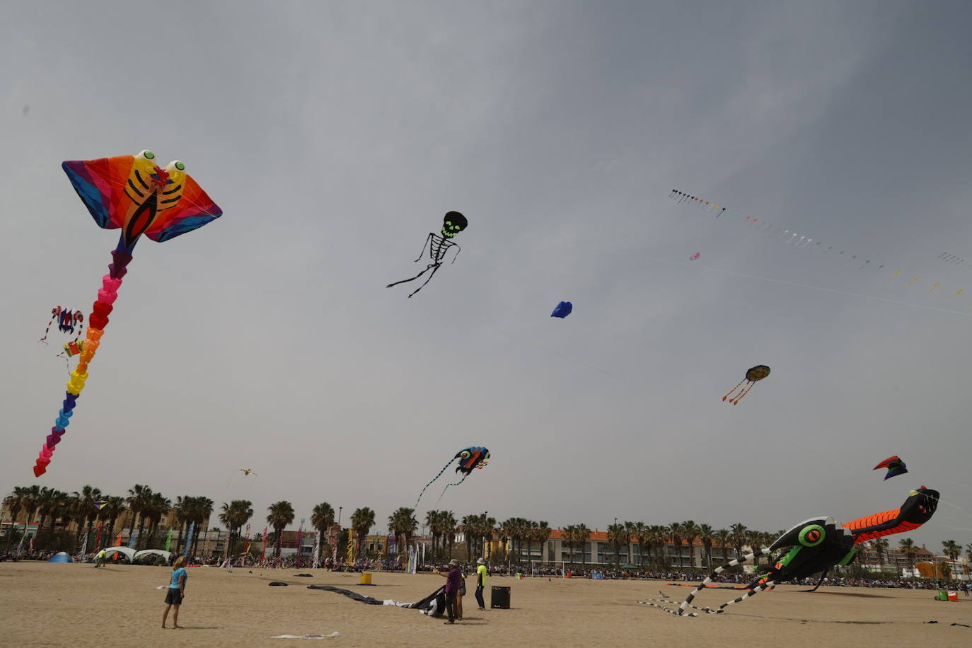 Fotos del festival de cometas en Valencia 2024