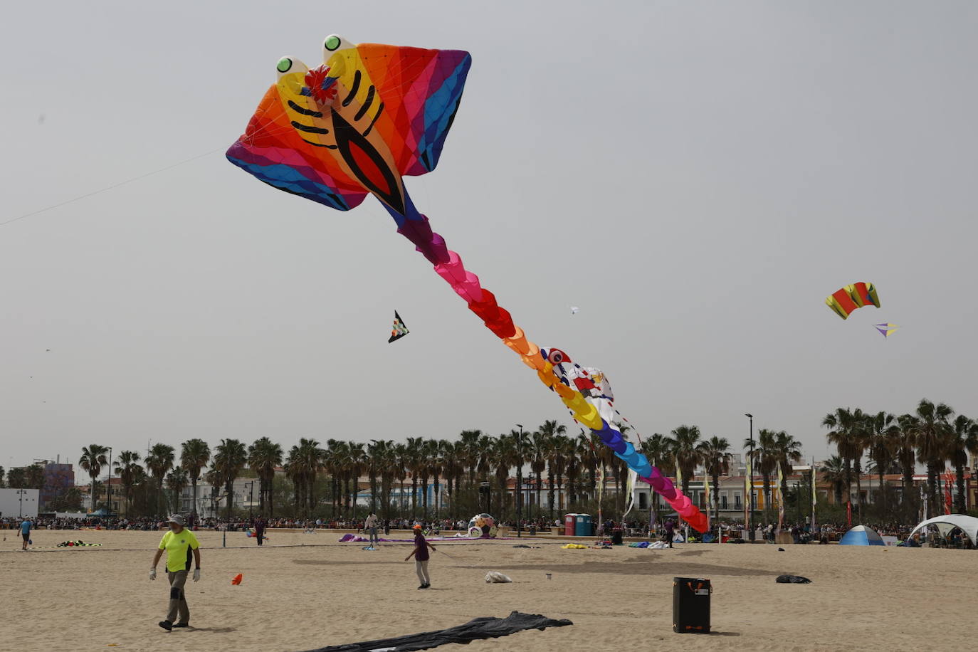 Fotos del festival de cometas en Valencia 2024