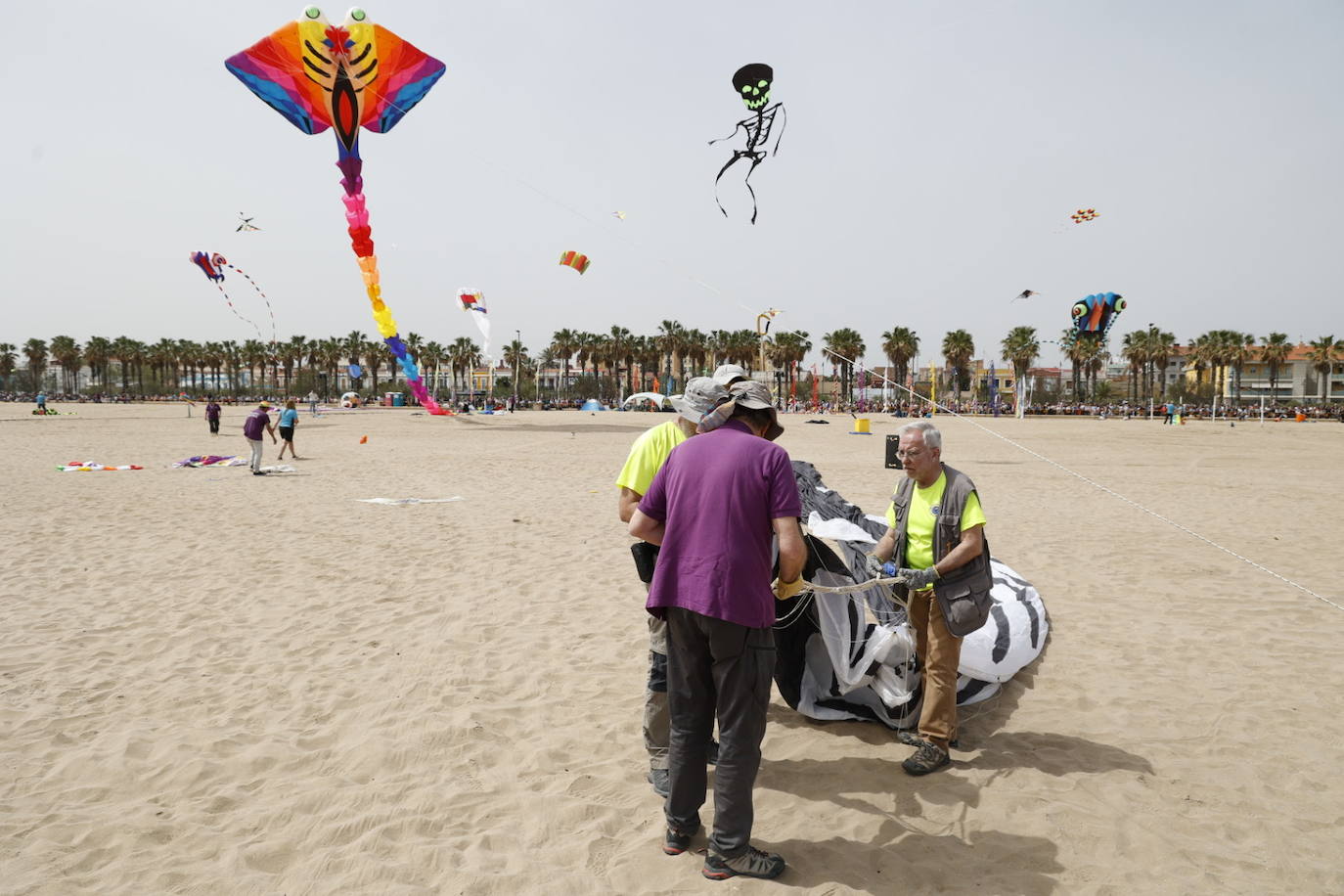 Fotos del festival de cometas en Valencia 2024