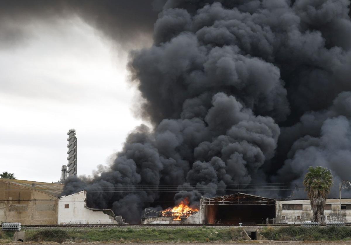 Columna de humo sobre la fábrica, en el entorno del parque natural.