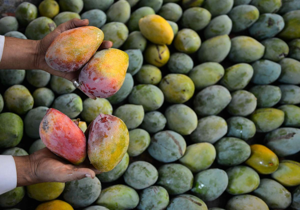 El alimento que mejora la digestión, fortalece el corazón y regula los niveles de azúcar