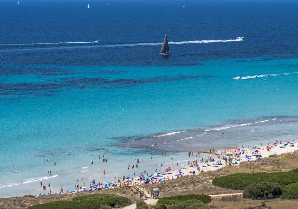 Hallan una nueva especie de gusano en el mar Mediterráneo con ojos de otro mundo