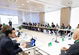 El director de Calidad de Mercadona, Luis Plá, durante la reunión.